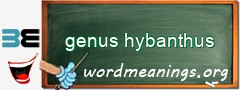 WordMeaning blackboard for genus hybanthus